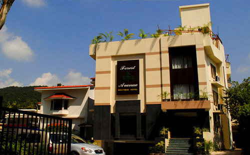 Forest Avenue Hotel Dehradun
